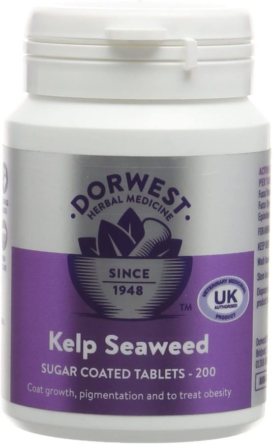 DORWEST HERBS Kelp Seaweed Tablets for Dogs and Cats 200 Tablets