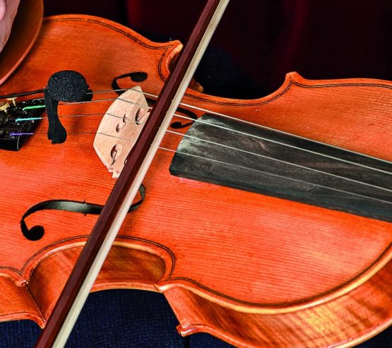 PRODIPE CL21 Microphone Style: Violin (VL21) - Image 4