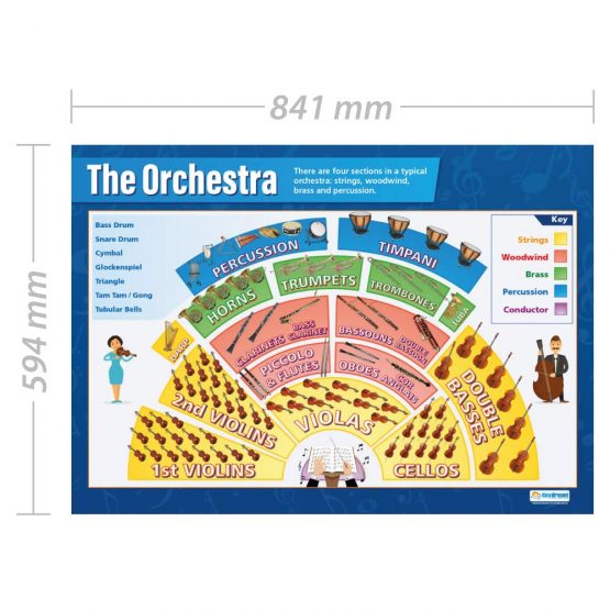 The Orchestra | Music Posters | Laminated Gloss Paper measuring 850mm x 594mm (A1) | Music Charts for the Classroom | Education Charts by Daydream Education - Image 2
