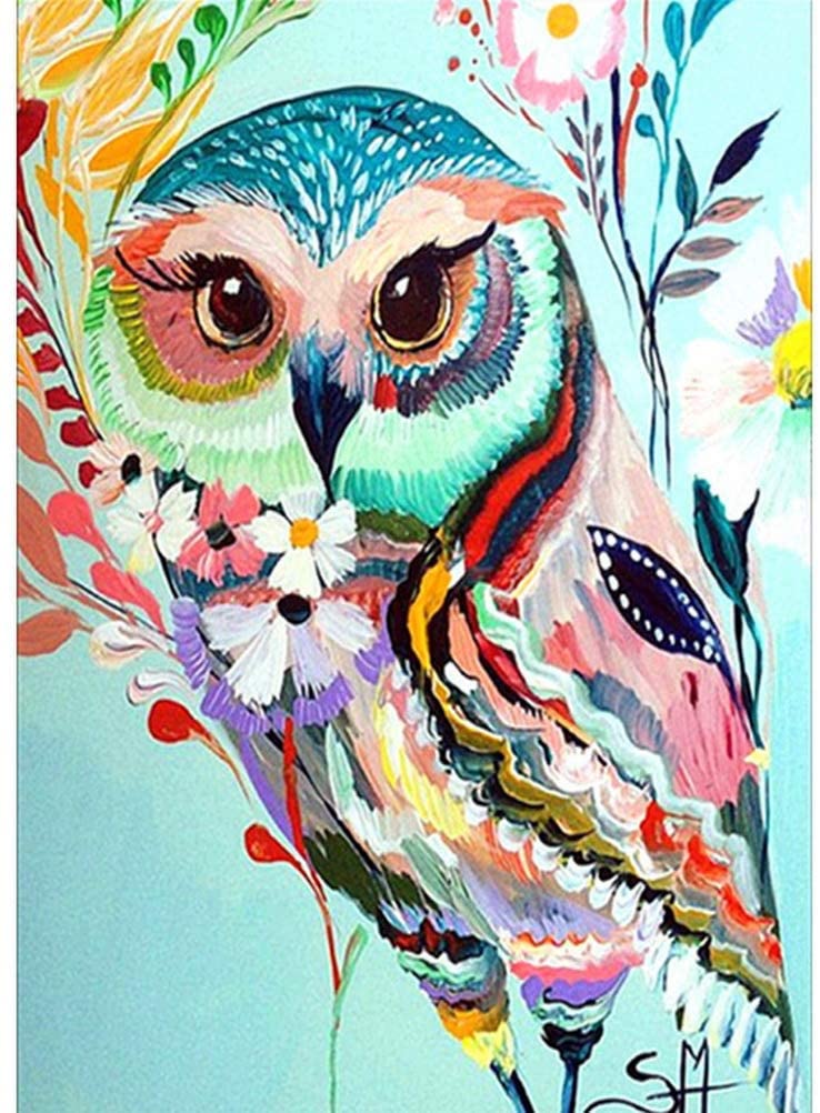 DIY 5D Diamond Painting Kit, nuoshen Owl Diamond Art Kits Owl Pattern