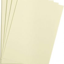 Clairefontaine Etival Coloured Grained Drawing Paper, 160g, A3 - Pale Green, Pack of 25 Sheets