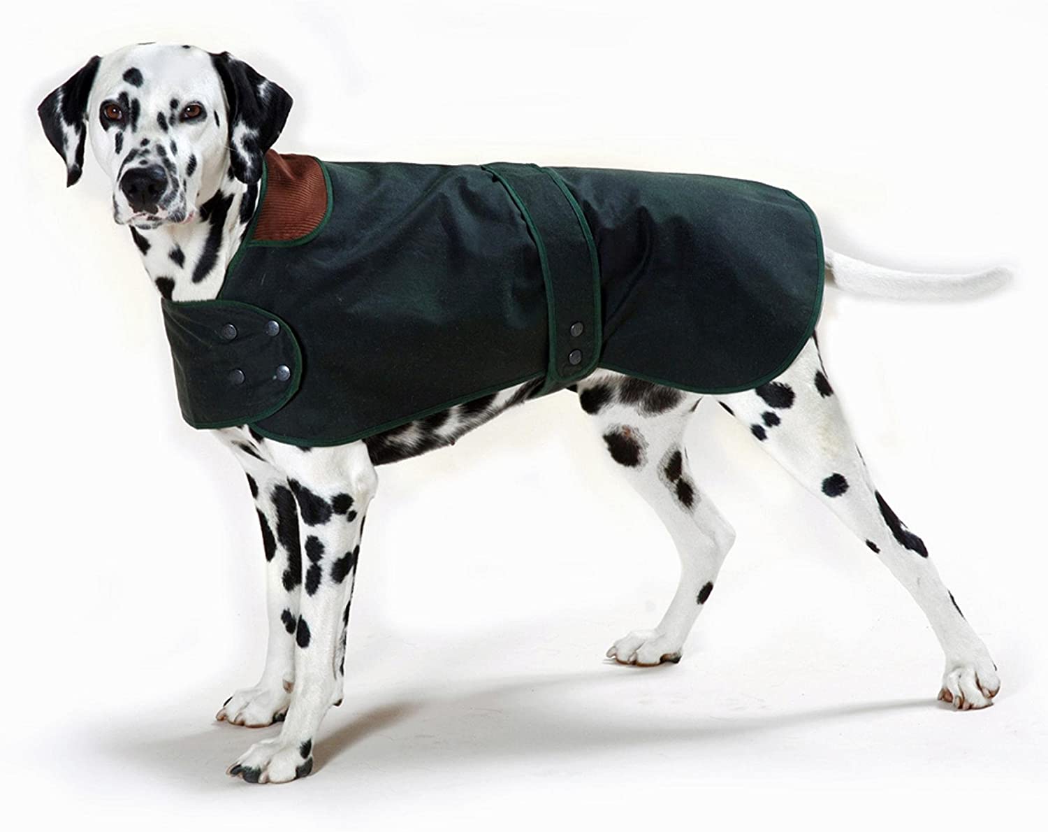 Cosipet Hunter Coat, 12-inch/ 30 cm, Green, 12-inch/30 cm