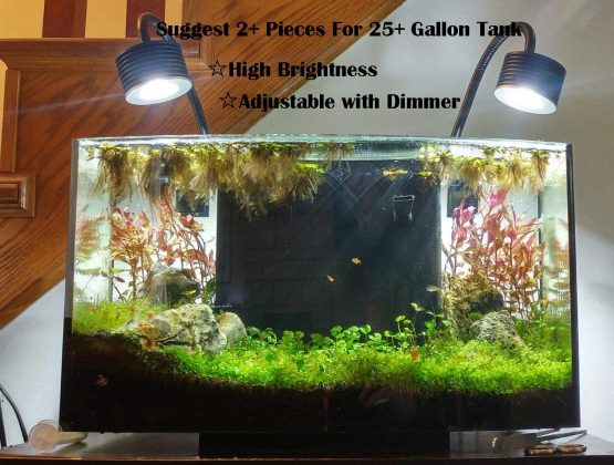 Lominie LED Aquarium Light, Dimmer Control 0-100% Brightness 50W Planted Fish Tank Light Asta120 Clamp Clip Lamp for Freshwater Refugium Algae Fish Tank with Gooseneck (F120 Freshwater) - Image 2