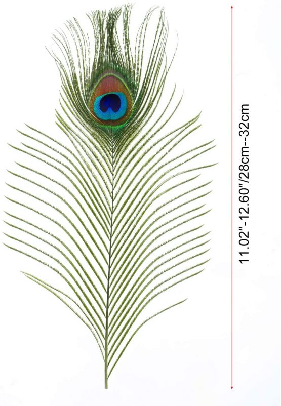 Mwoot 15pcs Natural Peacock Eye Feathers, Screen Green Tail Eye Feathers for DIY Craft,Costume,Wedding Holiday Party Decoration 11.02-12.6inch (28-32CM) - Image 4