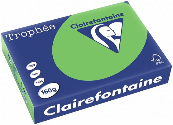 Clairefontaine Coloured Copier Paper A4 160 GSM 160 g/m² Minze Mint/May Green