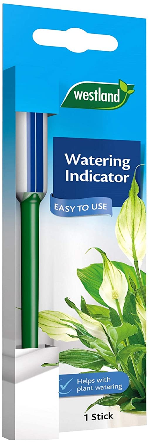 Westland When to Water Plant Watering Indicator, Blue, 1 x 6 x 19 cm