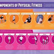 Components of Physical Fitness | PE Posters | Gloss Paper measuring 850mm x 594mm (A1) | Physical Education Charts for the Classroom | Education Charts by Daydream Education