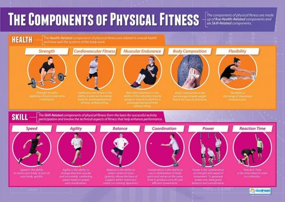 Components of Physical Fitness | PE Posters | Gloss Paper measuring 850mm x 594mm (A1) | Physical Education Charts for the Classroom | Education Charts by Daydream Education