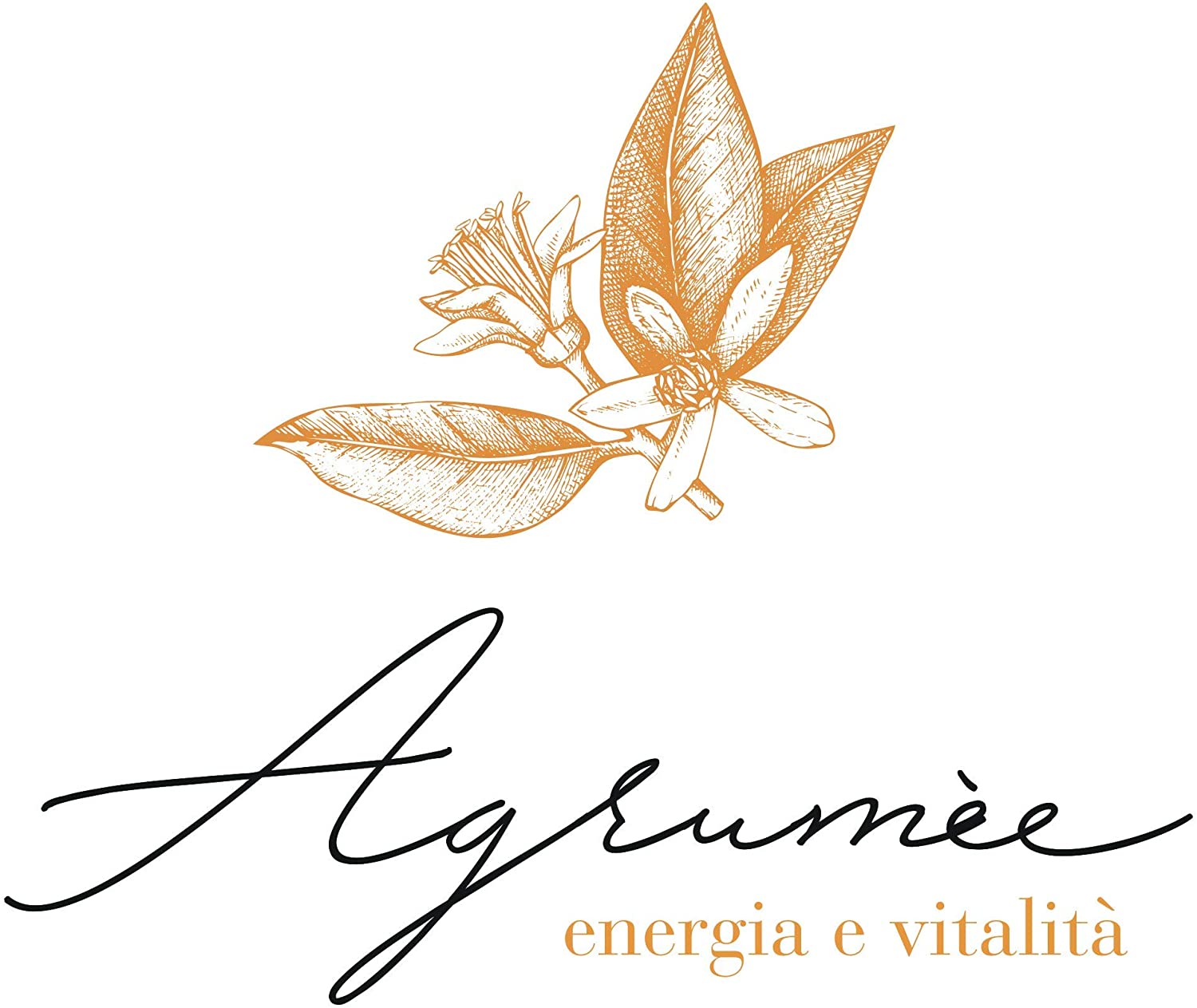 Helan Agrumèe, Nourishing, Scented Body Cream in Spray with Vitamin E, Ginseng and Lime Extracts, Non-Greasy - Image 2