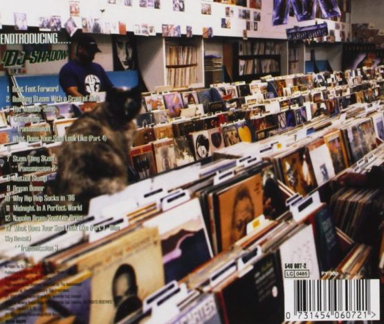 Endtroducing..... - Image 2