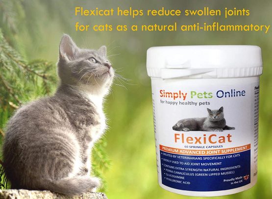 FlexiCat Cat Joint Supplement Capsules - UK Veterinarian Formulated - Extra Green Lipped Mussel, Glucosamine - 60 Sprinkle Capsules - Image 3
