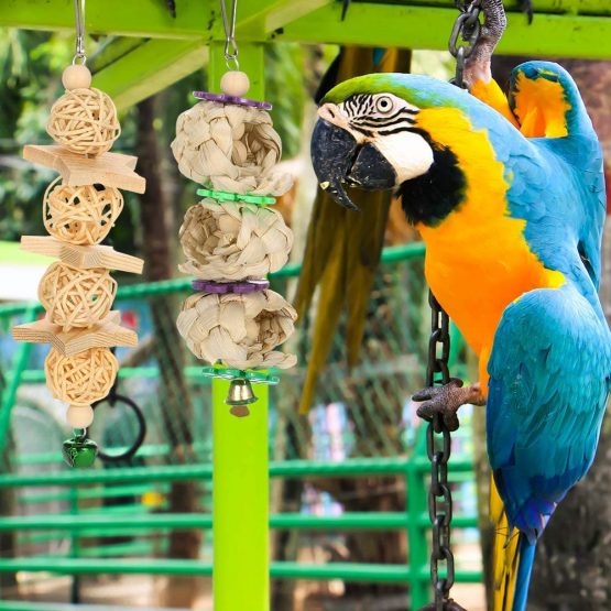 Yorgewd 7 Pack Bird Toys, Natural Wood Small Bird Cage Toys Small Parrot Swing Chewing Toys for Budgies, Small Parakeets, Conures, Love Birds, Cockatiel, Finches - Image 2
