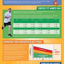 Cardiovascular Fitness | PE Posters | Laminated Gloss Paper measuring 850mm x 594mm (A1) | Physical Education Charts for the Classroom | Education Charts by Daydream Education