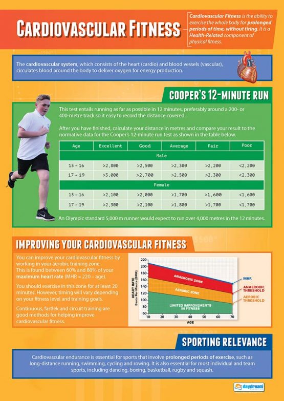 Cardiovascular Fitness | PE Posters | Laminated Gloss Paper measuring 850mm x 594mm (A1) | Physical Education Charts for the Classroom | Education Charts by Daydream Education