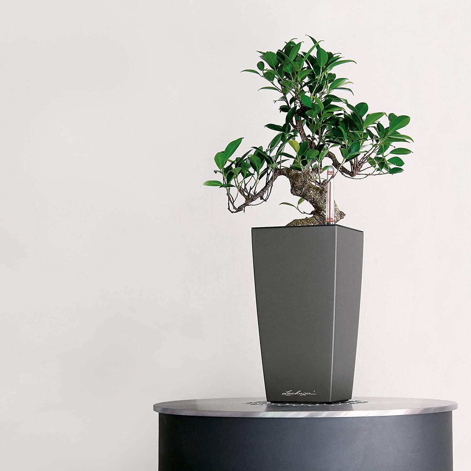 LECHUZA MAXI CUBI Self Watering Planter Small Plastic Indoor Plant Pot without Drainage Hole H26 L14 W14 cm Charcoal Metallic - Image 4