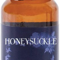 Mystic Moments | Honeysuckle Fragrance Oil - 10ml