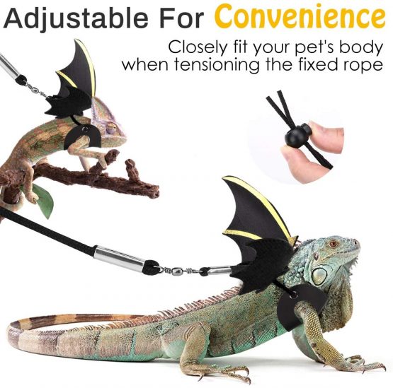 Pawaboo Adjustable Bearded Dragon Harness and Leash, 3 Size Leather Reptile Leash Outdoor Harness Leash with Bat Wings for Lizard Reptiles Amphibians Small Pet, Small/Medium/Large, Black+Gold - Image 3