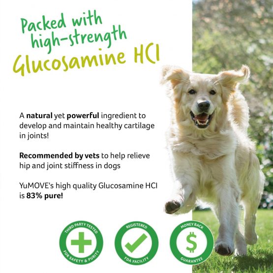 Lintbells | YuMOVE Adult Dog | Hip and Joint Supplement for Stiff Adult Dogs, with Glucosamine, Chondroitin, Green Lipped Mussel | Aged 6 to 8 | 300 Tablets - Image 3