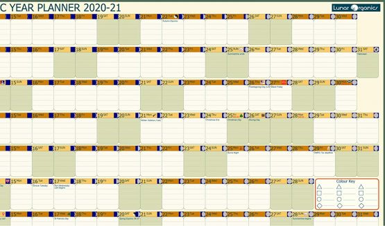 Academic Extra Large Year Wall Planner 2021-2022 (1,000mm x 600mm) Unlaminated - Image 3