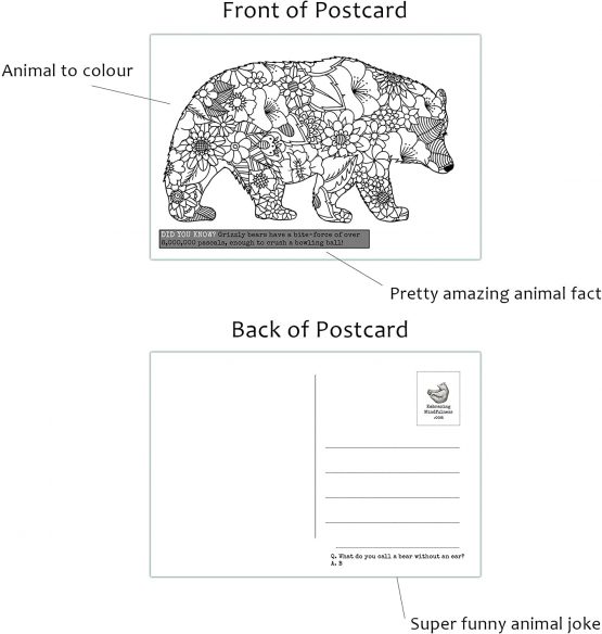 Mindfulness Colouring Postcards: Anti-Stress Art Therapy Postcard Set Drawn in Adult Colouring Book Style - Image 2