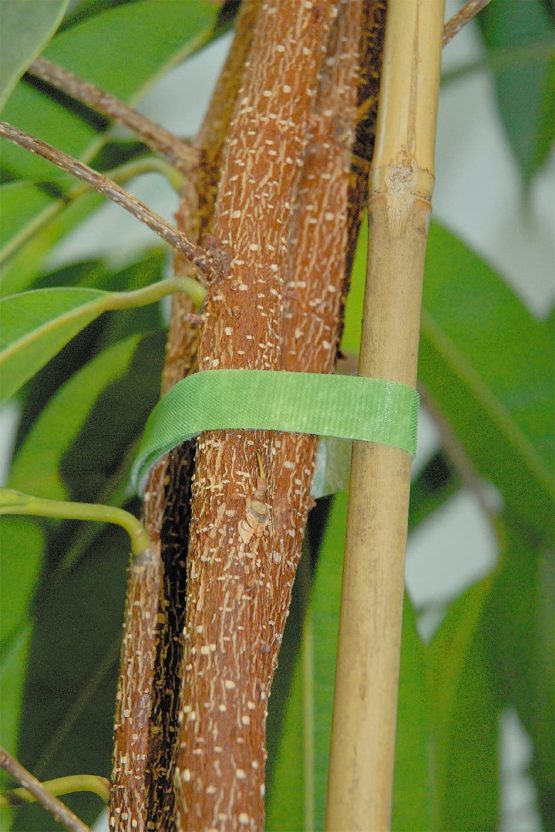 Wolfcraft Adhesive Velcro Strips For Garden - Image 2