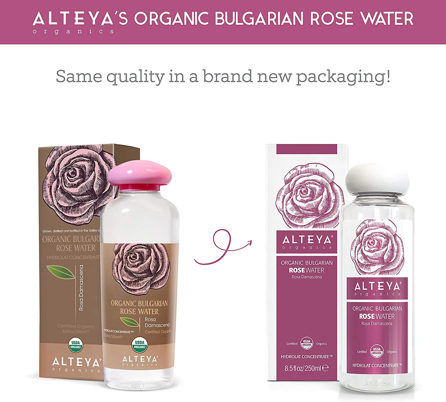 Alteya Organic Rose Water 250ml, Pure Organic Rosa Damascena Hydrolat, No additives, No Artificial Ingredients - Image 2