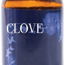 Mystic Moments | Clove Fragrance Oil - 100ml