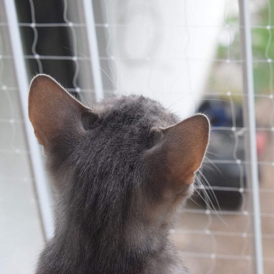 Pet Prime Cat Safety Net for Balcony & Window Transparent Protective Net for cats Pet Anti-escape Net Safety Fence Invisibel Variety Size Provided Include Fixing Set (3x2m)