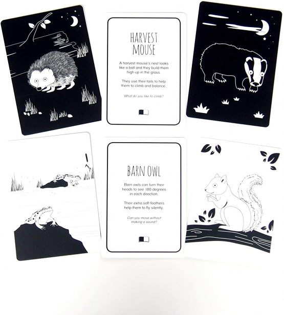 Black and White Baby Flash Cards for Toddlers - Animals of Great Britain Interactive Learning Children's Books - Toys for baby development - For Newborns, Preschoolers and Toddlers - 12 Flash Card Set - Image 4