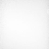Herlitz A4 Economy Cut Flush Folder (100 Pieces)