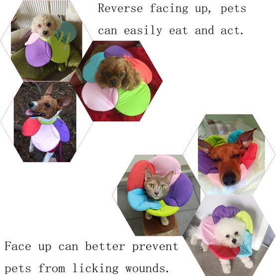 DELIFUR Dog Cone Collar Pet E-Collar Elizabethan Collars Recovery Pet Cone for Cats and Small Dogs Breathable Soft Edge and Easy to Clean(S) - Image 3