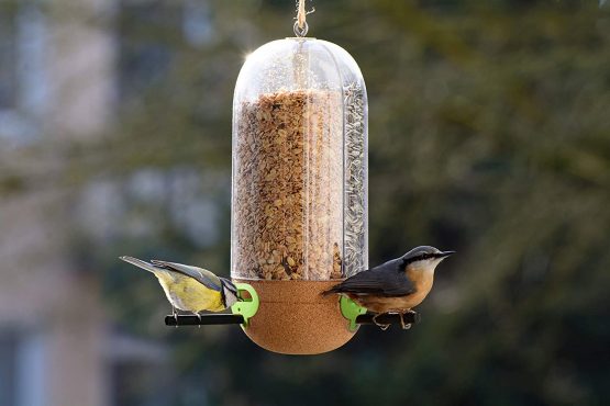 dobar 10095e Pickbar Feeder with 3 Compartments for Standing and Hanging 11 x 11 x 26 cm Cork Transparent - Image 3