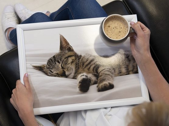 Creative Tops 'Kitten' Cushioned Bean Bag Lap Tray, 44 x 34 cm (17.5" x 13.5") - Multi-Colour - Image 3