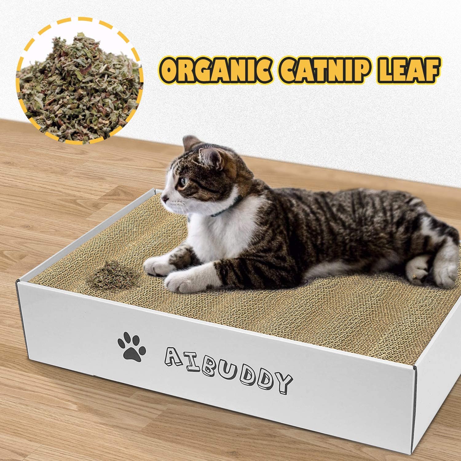 willows catnip scratch box