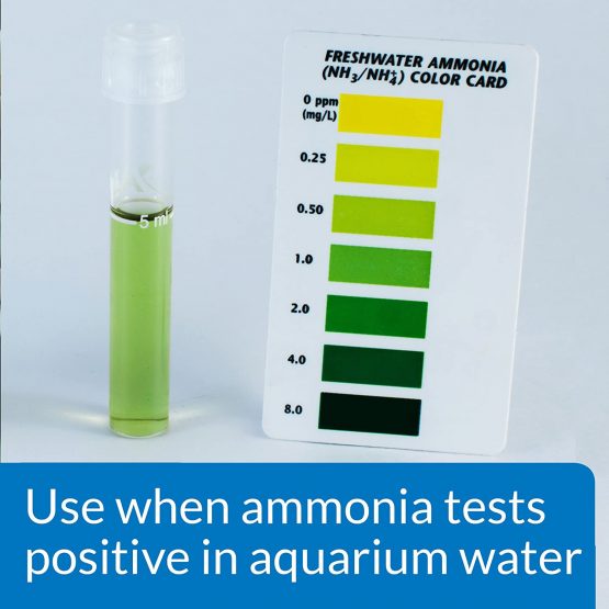 API AMMO-LOCK Freshwater and Saltwater Aquarium Ammonia Detoxifier 118 ml Bottle - Image 2