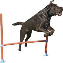 Rosewood Dog Agility Hurdle includes Bag