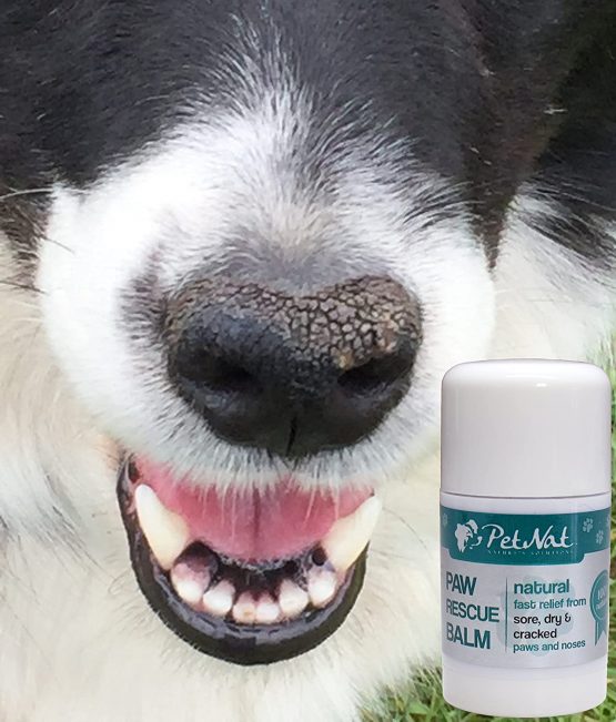 Paw and Nose Rescue Balm - Fast relief for sore, dry & cracked paws & noses - Image 3