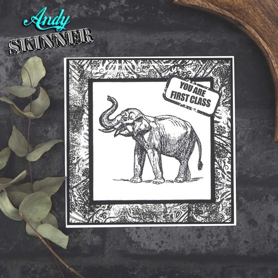 Creative Expressions Pre Cut Stamp by Andy Skinner-Botanic Grunge, Grey Rubber, 6.7 x 9.6 cm - Image 2