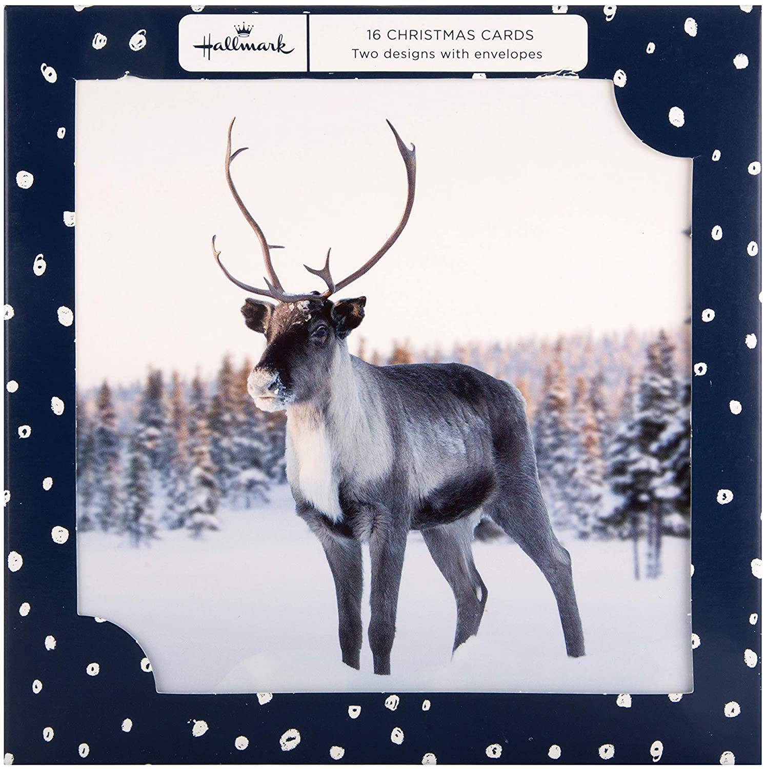 Photographic Winter Nature Christmas Cards from Hallmark - Pack of 16 in 2 Designs - Image 2
