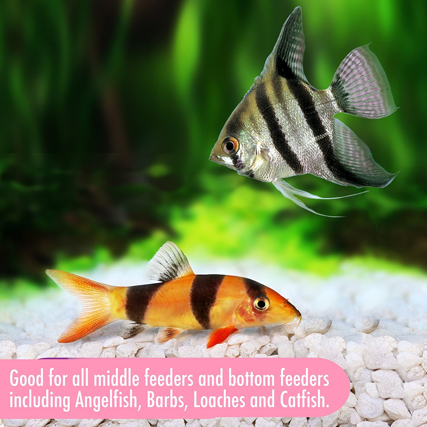 AQUARIAN Complete Nutrition, Aquarium Bottom Feeder Fish Food Sinking Pellets, 284g Bag, May Vary, 284 g (Pack of 1) - Image 4