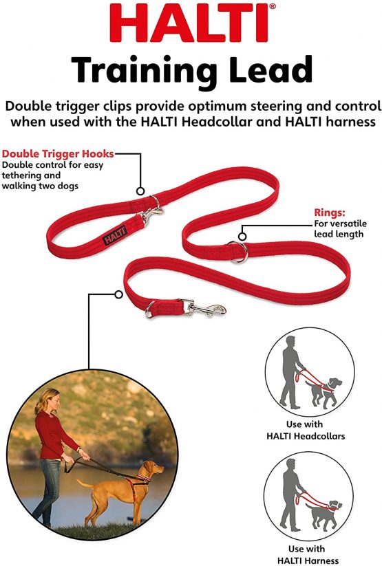 Halti Training Lead for Dogs, Dog Lead to Stop Pulling on Walks, Available in Sizes Small and Large, Large, Red - Image 2