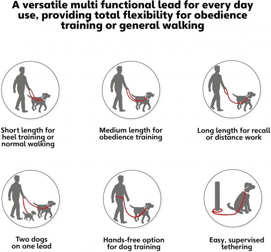Halti Training Lead for Dogs, Dog Lead to Stop Pulling on Walks, Available in Sizes Small and Large, Large, Red - Image 3