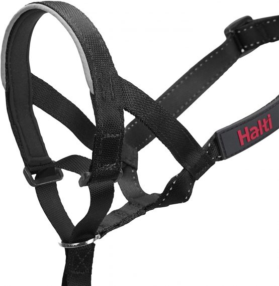 Halti Headcollar, Dog Harness to Stop Pulling on Lead, for Small, Medium and Large Dogs, Black, Size 4 - Image 2