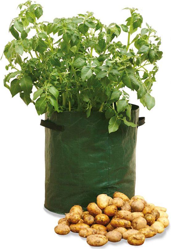 Haxnicks Planter010101 Pack of 3 Potato Patio Planter, Green, 35 x 35 x 45 cm