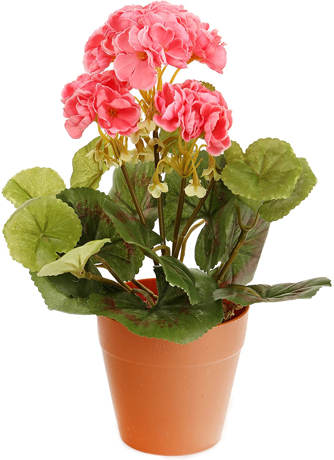 Closer2Nature