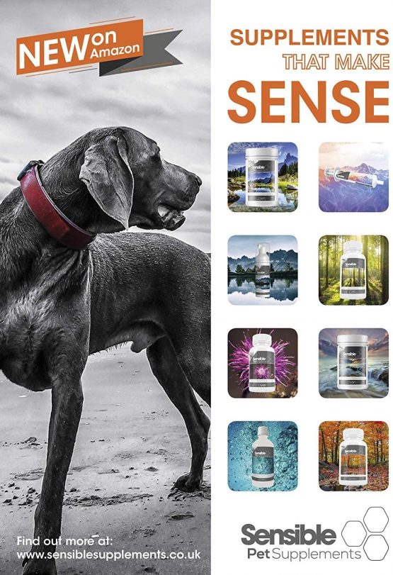 Sensible Pet Supplements 'L-Lysine' for Cats. 50ml Gel. - Image 3