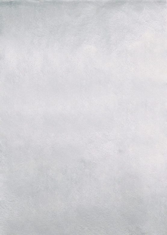 Clairefontaine Goldline 280g Coloured Card, 45 x 65 cm, 25 Sheets - Silver