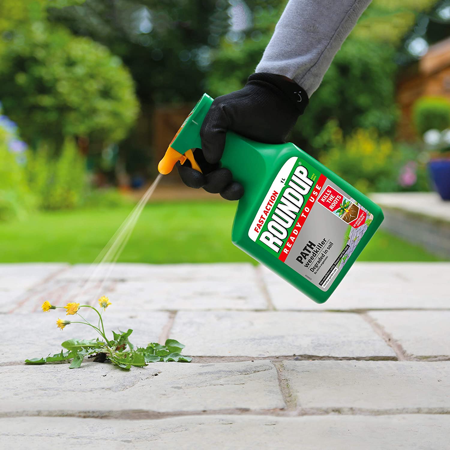 Roundup Path Weedkiller 1L, 100109 - Image 4