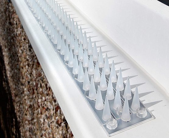 Good Selections unknown Windowsill Wall and Fence 5 Metre Pack (Clear), Silver - Image 2