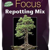 Bonsai Focus Repotting Mix 2 Litre